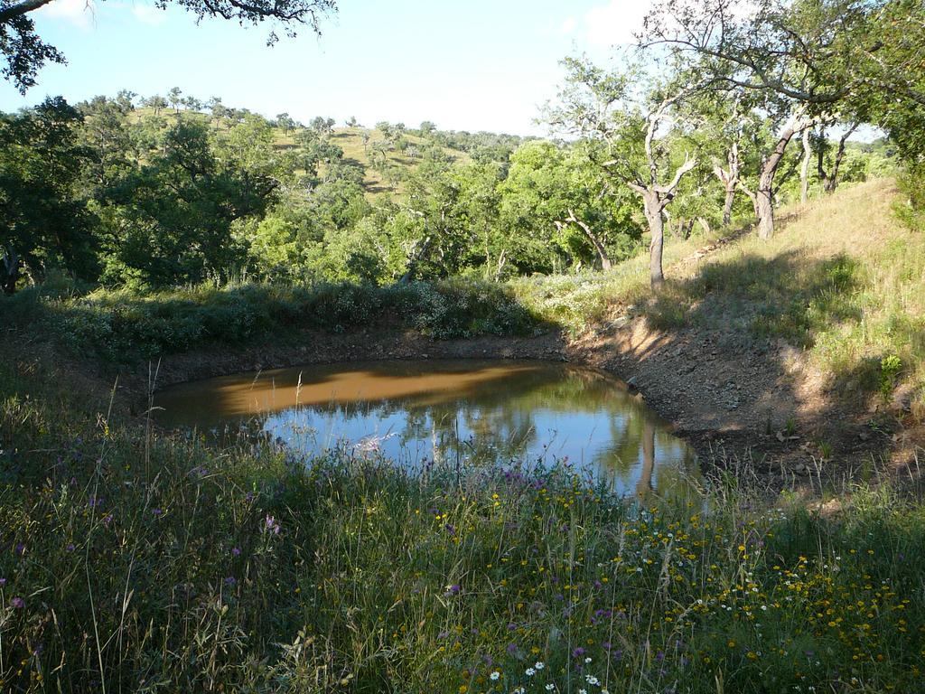 Monte Da Ameira Roncao Екстер'єр фото